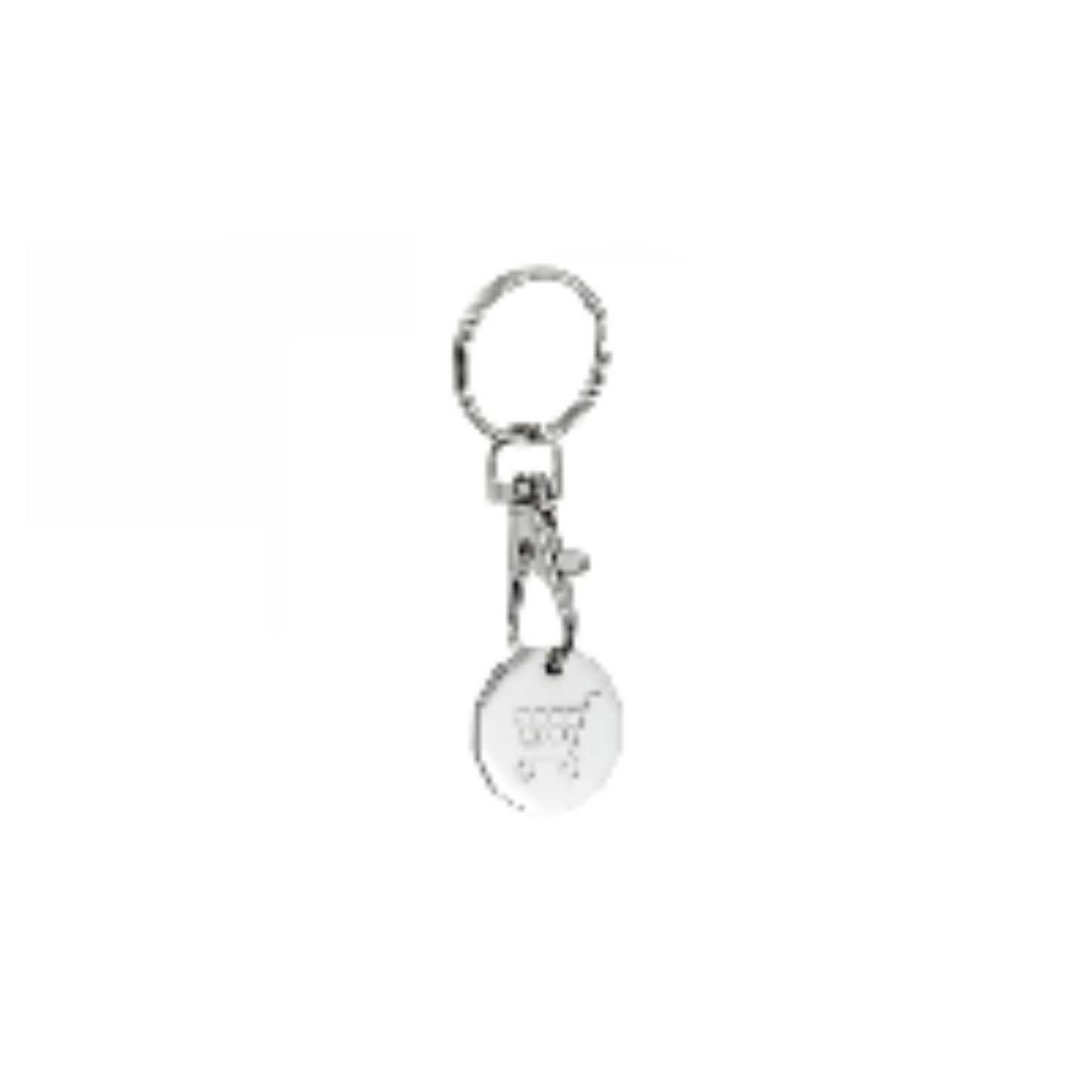 Trolly Coin on Keyring