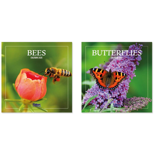 Bees and Butterfly 2026 Calendars