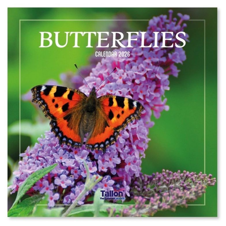 Bees and Butterfly 2026 Calendars