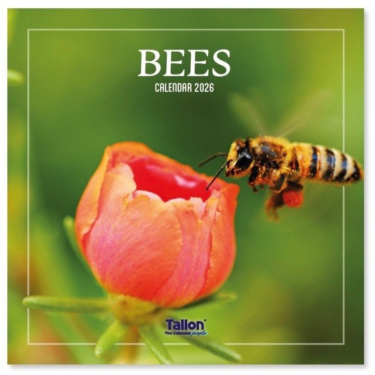 Bees and Butterfly 2026 Calendars