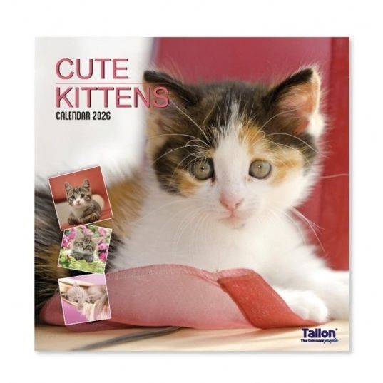 Puppy and Kitten 2026 Calendars
