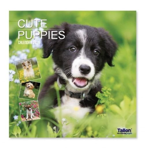 Puppy and Kitten 2026 Calendars
