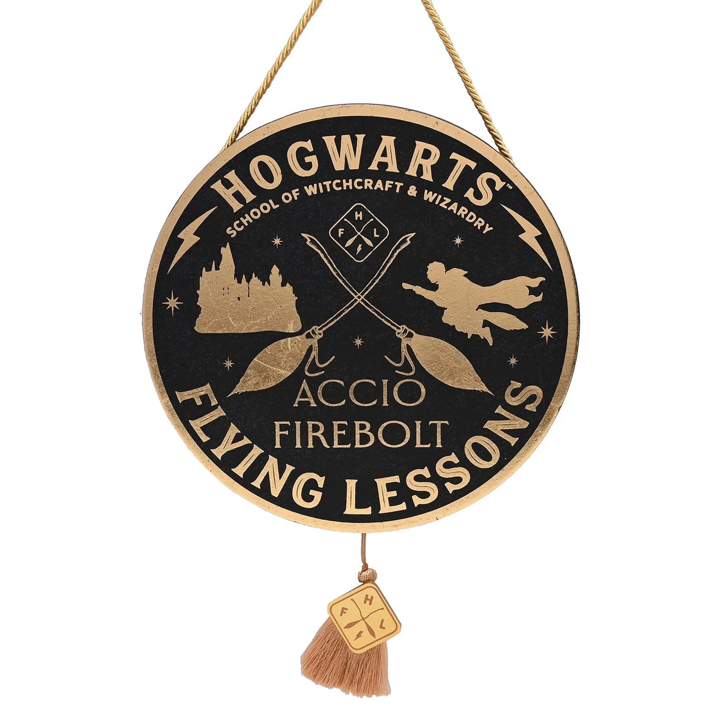 Warner Brothers Harry Potter Flying Lesson Plaque