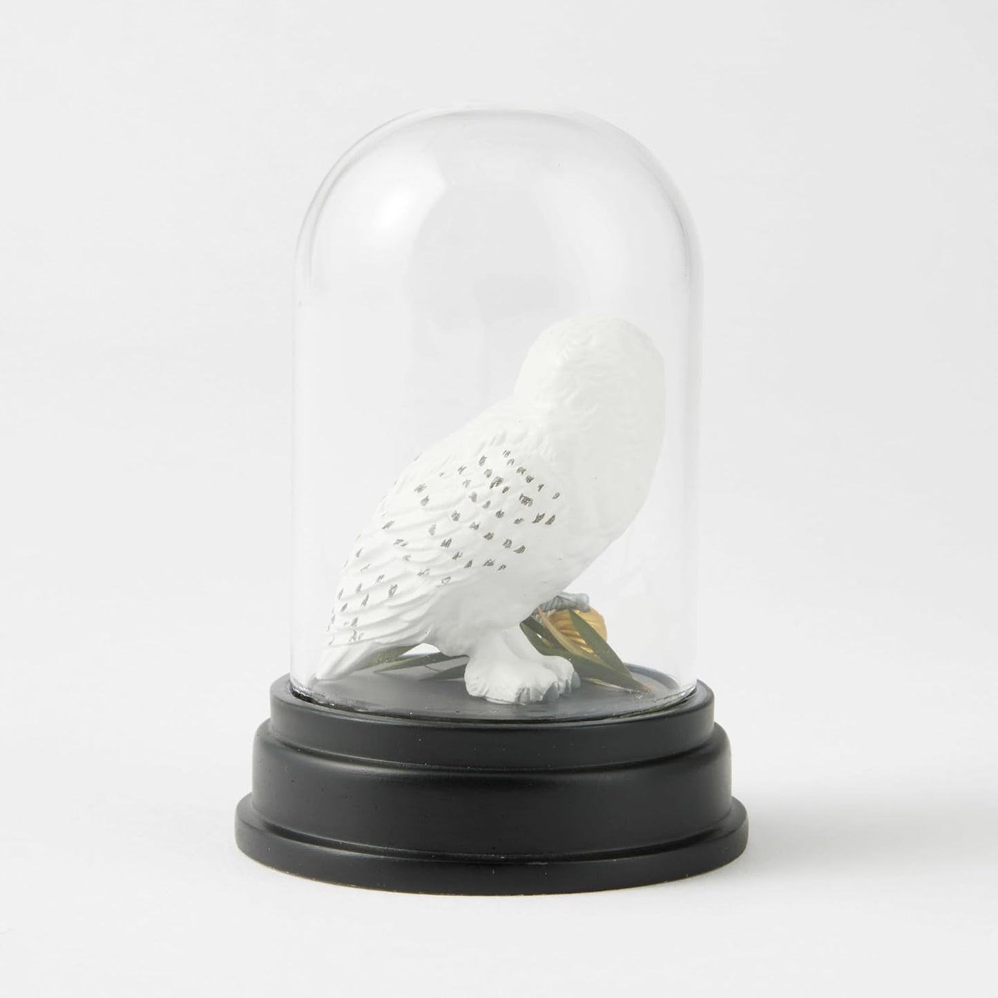 Hedwig Curiosity Cloche