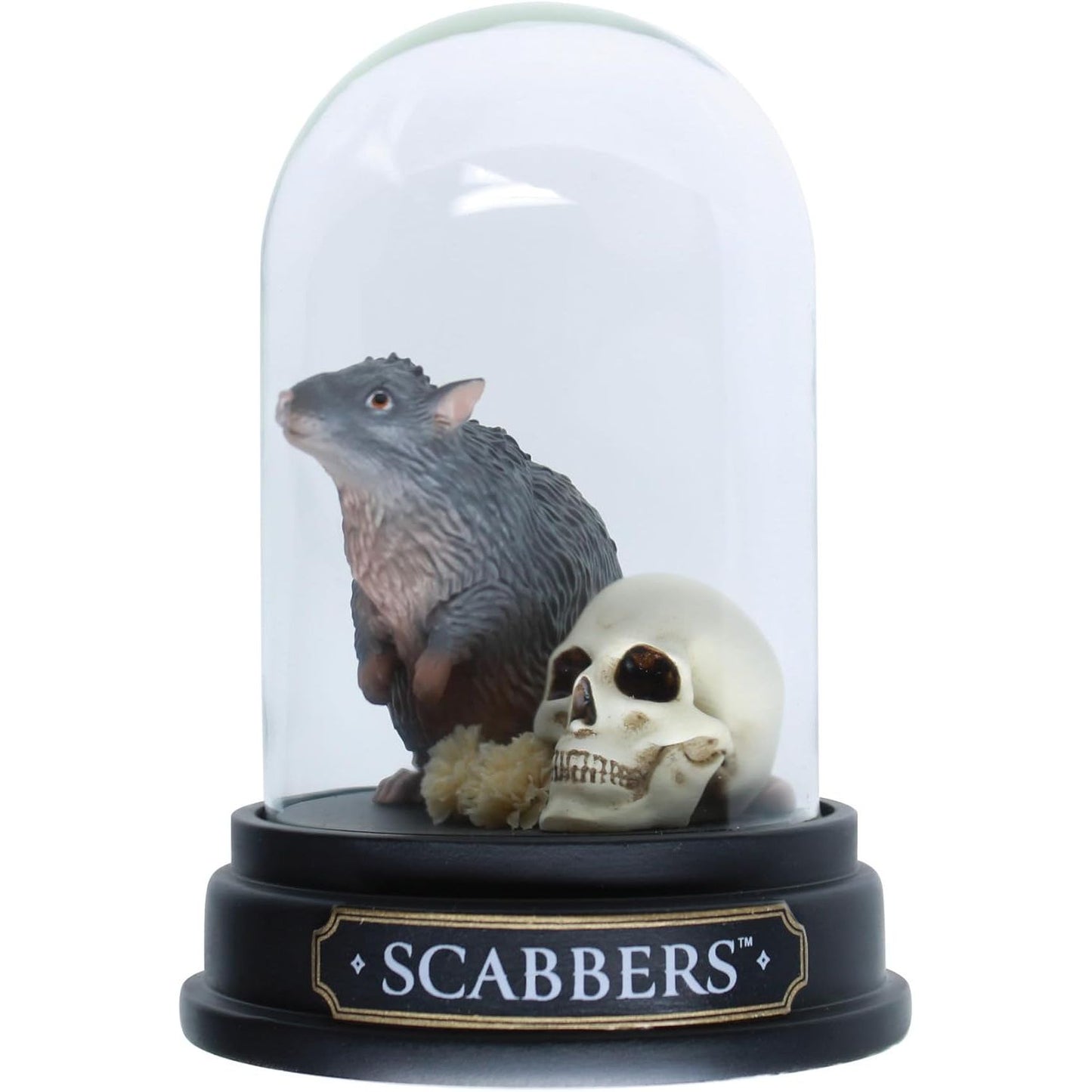 Scabbers The Rat Curiosity Cloche